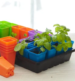 2 1/2" Multicolor Pots