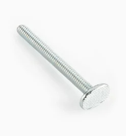 1/4-20 T-Bolts