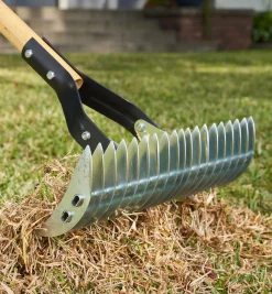 Adjustable Thatch Rake