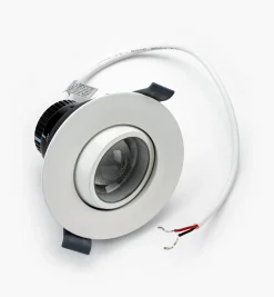 Adjustable-Beam LED Spotlight