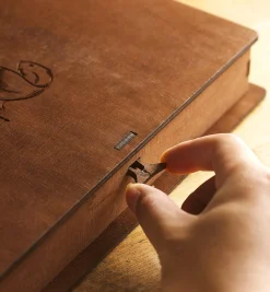 BeaverCraft Spoon Carving Set