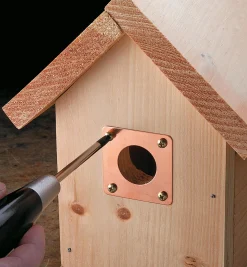 Birdhouse Portal Protectors