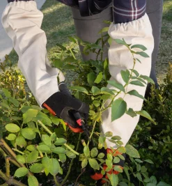 Canvas Arm Protectors