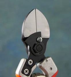 Castellari Double-Bladed Pruner
