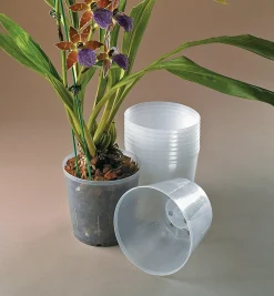 Clear Orchid Pots
