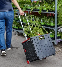 Collapsible Cart
