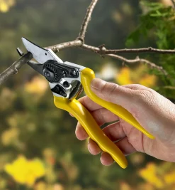Complete Pruning Kit