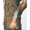 Curved Pruning Saw
