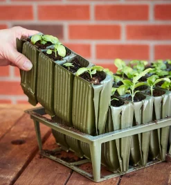 Deep Rootrainers Set