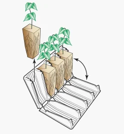 Deep Rootrainers Set