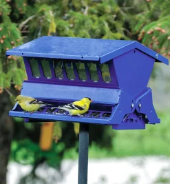 Double-Sided Large Squirrel-Resistant Feeder