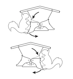 Double-Sided Large Squirrel-Resistant Feeder