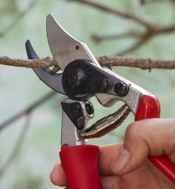 Felco #15 Pruner