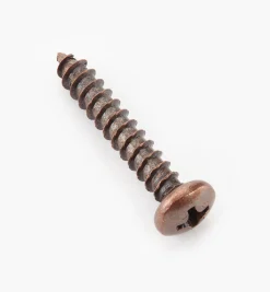 Finished Steel Screws