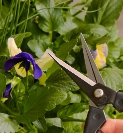 Garden Snips