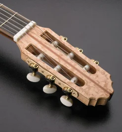 Gotoh Tuning Machines