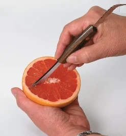Grapefruit Knife