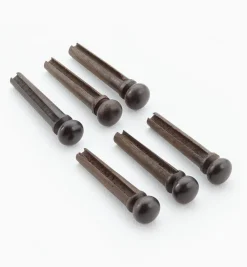 Guitar Bridge & End Pins