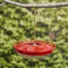 Hanging Hummingbird Feeder