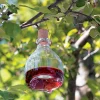 Hanging Wasp Trap