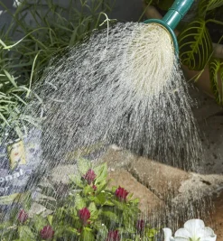 Haws Plastic Watering Can