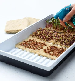 Hemp-Fiber Grow Mats