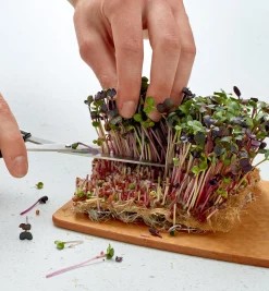 Hemp-Fiber Grow Mats