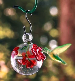 Hummingbird Feeder