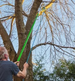 Jameson Professional Tree-Pruning Kit