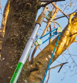 Jameson Professional Tree-Pruning Kit