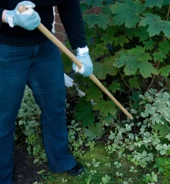 Lee Valley Claw Cultivator