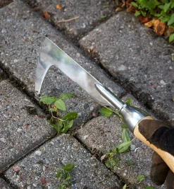 Lee Valley Crack Weeder