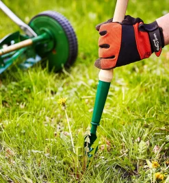 Lee Valley Dandelion Diggers