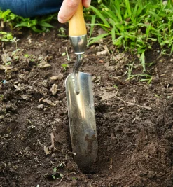 Lee Valley Narrow Trowel