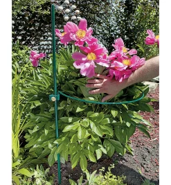 Lee Valley Peony Support