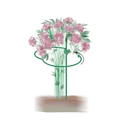 Lee Valley Peony Support