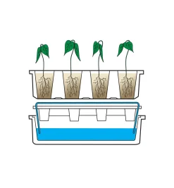 Lee Valley Self-Watering Seed Starter