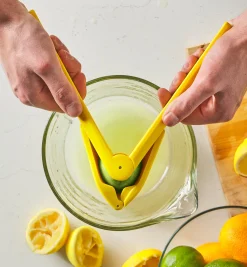 Lemon & Lime Juicer