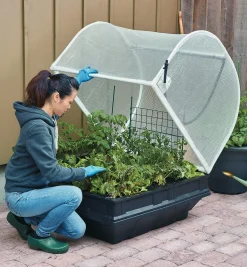 Medium Vegepod Container Garden