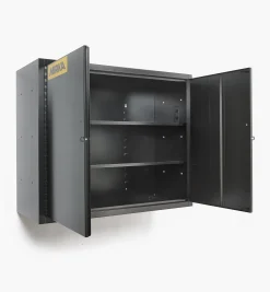Mirka Wall-Mounted Storage Cabinet
