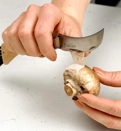 Opinel Mushroom Knife