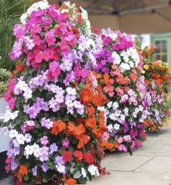 Pair Of Flower Towers