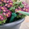 PlantWell Watering Bulb