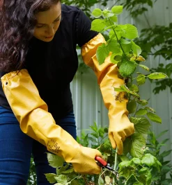 Protective Pruning Gloves