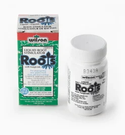 Root Stimulator