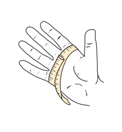 Rose Gloves, Women’s Sizes