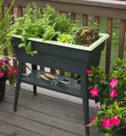 Self-Watering Raised Planter