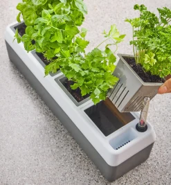 Self-Watering Windowsill Planter