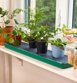 Self-Watering Windowsill Tray