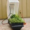 Small Vegepod Container Garden